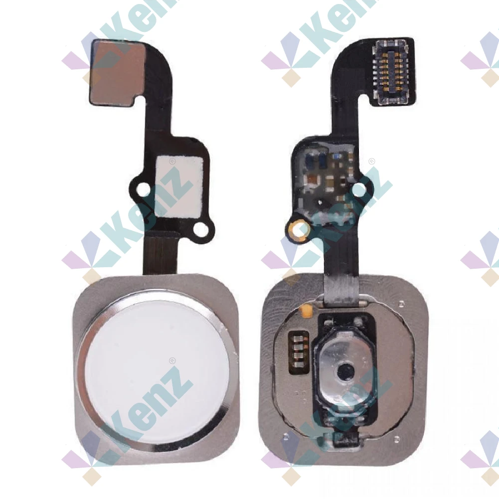 iPhone 6 Plus Home Button Flex